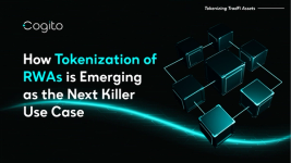 How Tokenization of RWAs is Emerging as the Next Killer Use Case